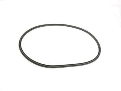 Mopar 68283204AA Weatherstrip