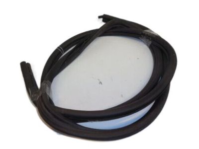 Jeep 55134725 SEAL Rear Door