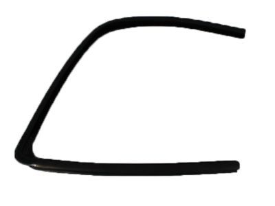 Dodge Ram 2500 Weather Strip - 55276165AD
