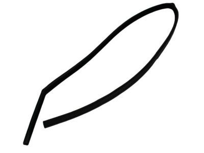 Dodge 55135253AB SEAL Glass Run Front