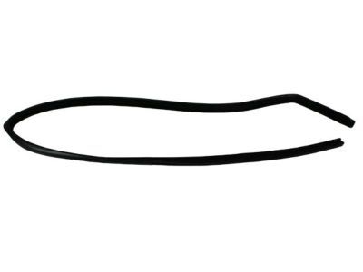 Dodge 55135253AB SEAL Glass Run Front