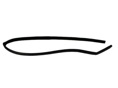 Dodge 55135253AB SEAL Glass Run Front