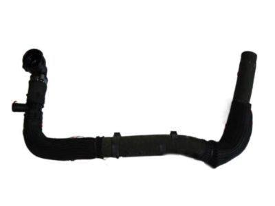 Mopar 55111472AC Upper Hose, Lower