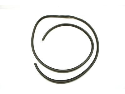 Dodge D150 Door Seal - 55023781