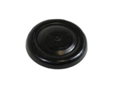 Dodge 5125508AA PLUG Door