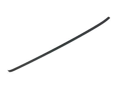 Ram 68311249AD Roof Molding