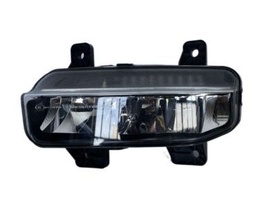 Ram Fog Light - 68273291AA