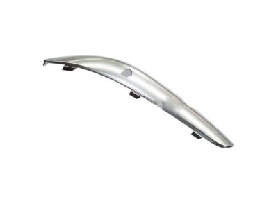 Chrysler 68184059AA APPLIQUE Fascia Platinum