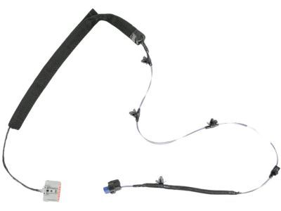 Jeep 68206201AB WIRING Front Door