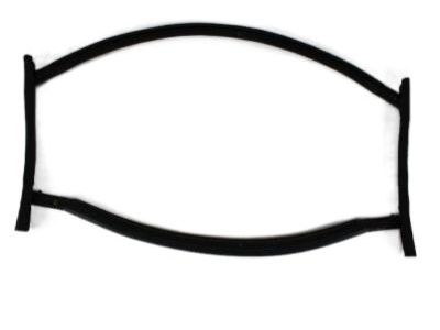 Chrysler 68028556AA WEATHERSTRIP Folding Top Panel