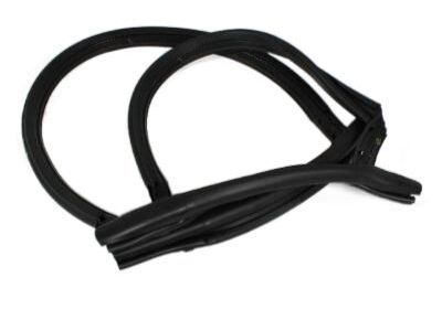 Chrysler 68028556AA WEATHERSTRIP Folding Top Panel