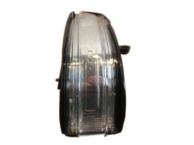 Ram 68402097AA LAMP Turn Signal