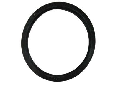 Mopar 68027861AA O Ring