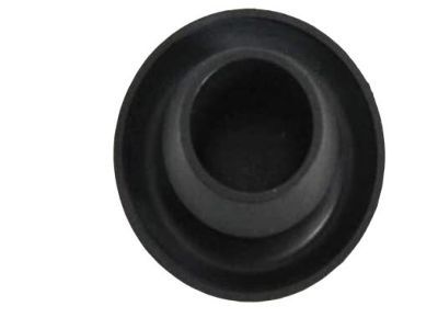 Jeep 52070428AA PLUG Differential Cover