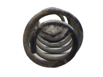 Jeep 52089821AD SPRING Suspension Rear