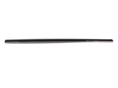 Ram ZT53SZ0AA MOLDING Front Door