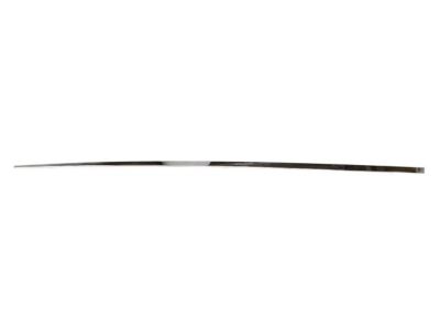 Ram ZT53SZ0AA MOLDING Front Door