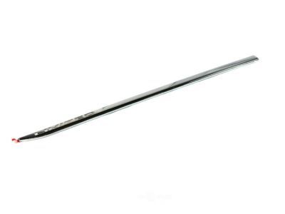 Ram 5ZH21SZ0AC MOLDING Front Door