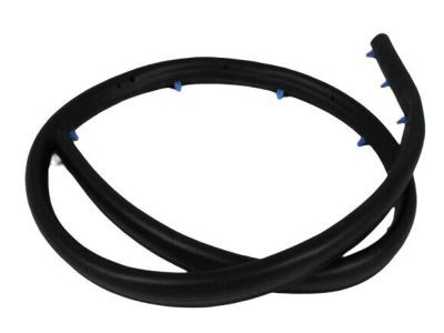 Jeep Grand Cherokee Door Seal - 55394042AC
