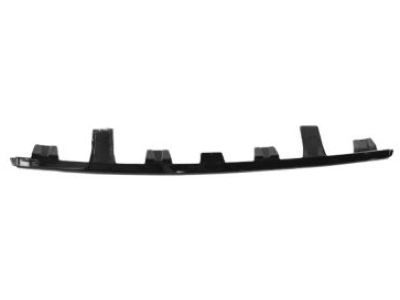 Mopar 68206039AA Lower Molding, Front