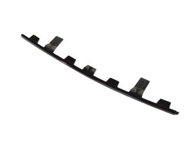 Mopar 68206039AA Lower Molding, Front
