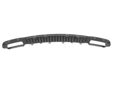 Mopar 68141936AD Lower Grille, Front Center