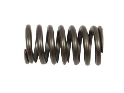 Jeep 52119702AA SPRING ASSEMBLY Accumulator