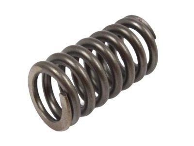 Jeep 52119702AA SPRING ASSEMBLY Accumulator