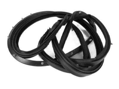Mopar 68039974AH Surround Weatherstrip, Front