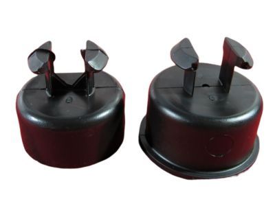 Mopar 55276076AC Bushing Tailgate Pivot