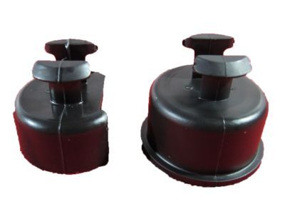 Mopar 55276076AC Bushing Tailgate Pivot