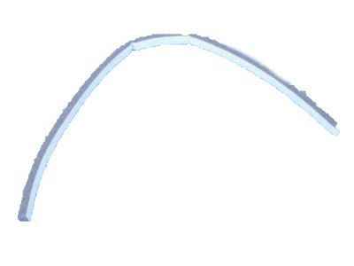 Dodge 5073976AA PACKING