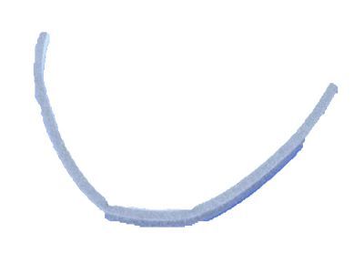 Dodge 5073976AA PACKING