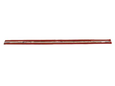 Ram 68140237AA MOLDING Front Door