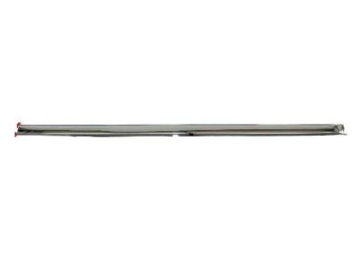 Ram 68140237AA MOLDING Front Door