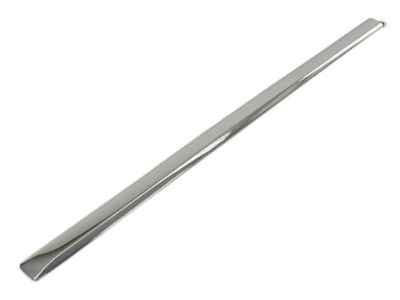 Ram 68140237AA MOLDING Front Door