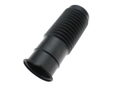 Dodge 68029522AC Dust Cover