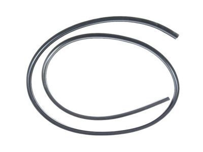 Chrysler Sebring Door Seal - 1DZ06XXXAE