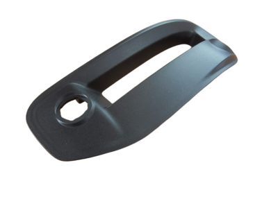 Ram 68312234AB BEZEL KIT Fog Lamp