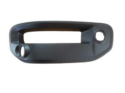 Ram 68312234AB BEZEL KIT Fog Lamp