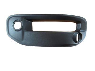Ram 68312234AB BEZEL KIT Fog Lamp