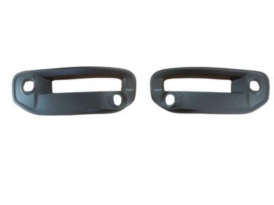 Ram 68312234AB BEZEL KIT Fog Lamp