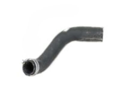 Dodge Durango Radiator Hose - 52029195AD