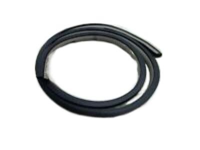 Dodge Stratus Door Seal - UJ31XXXAG