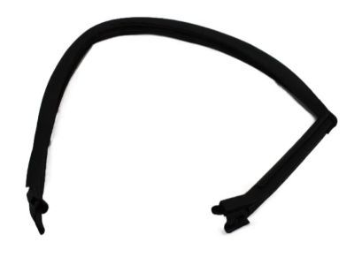 Dodge 4575890AD RUN Front Door Glass