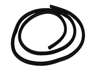 Dodge 55275611AF WEATHERSTRIP Door Opening