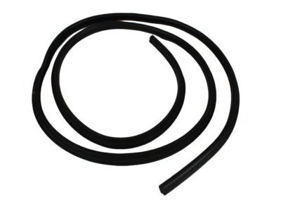 Dodge 55275611AF WEATHERSTRIP Door Opening