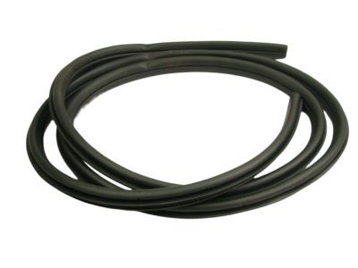 Dodge 55275611AF WEATHERSTRIP Door Opening