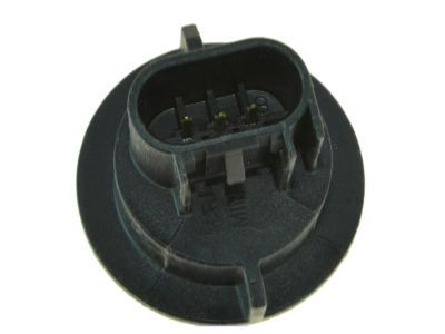 Mopar 68191950AA Socket Parking And Turn Signal