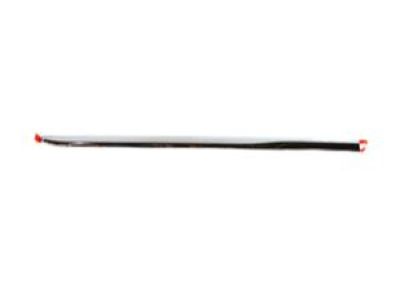 Mopar 68228676AA Molding Sliding Door